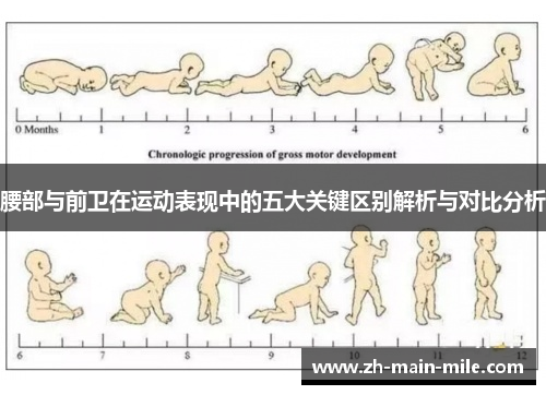 腰部与前卫在运动表现中的五大关键区别解析与对比分析